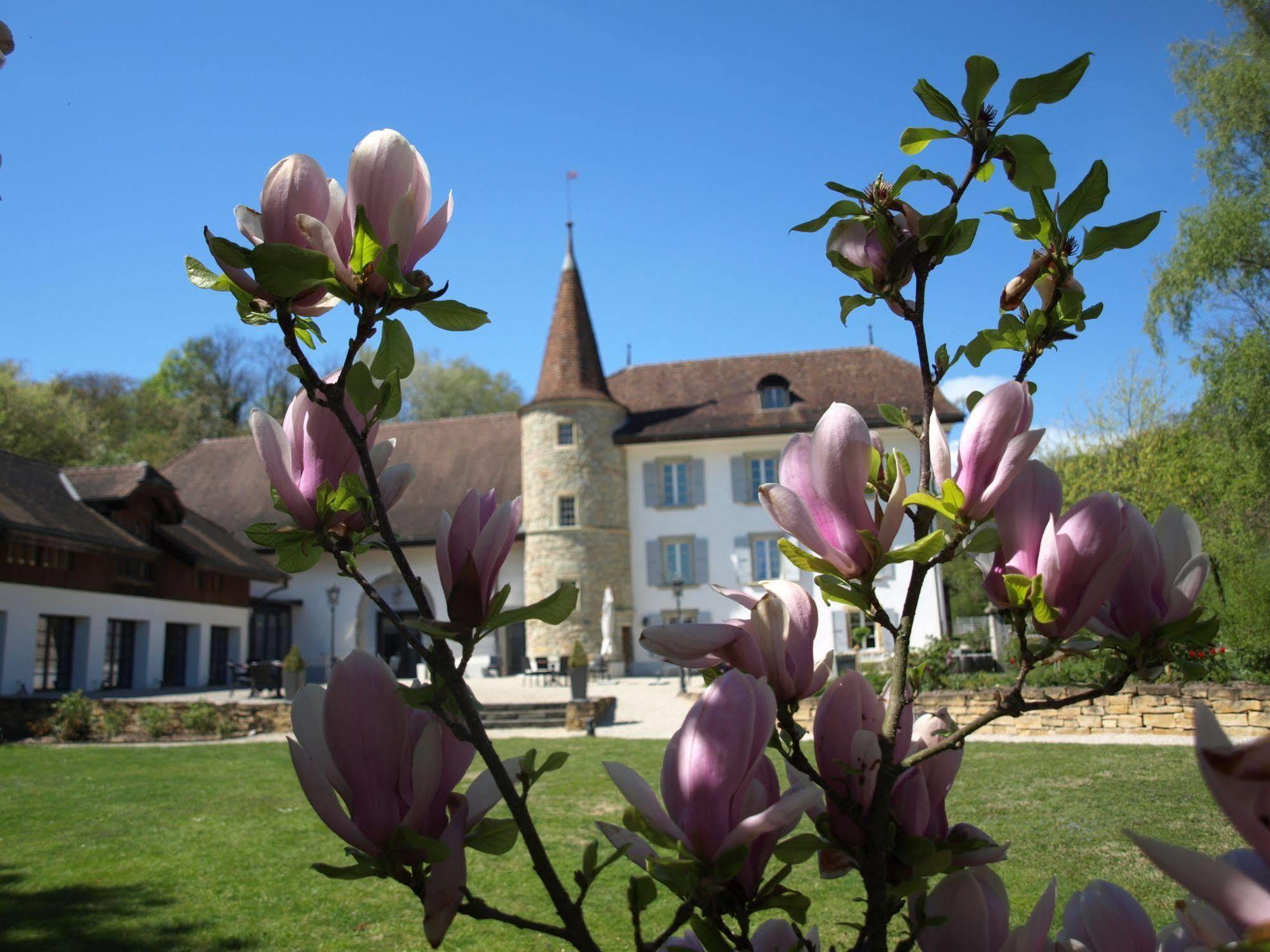 Chateau Salavaux Vully-les-Lacs Kültér fotó